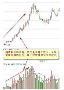 为什么股市下跌，但成交量却会放大，这是怎么回事？