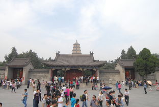 大慈恩寺大雁塔风景区大慈恩寺大雁塔风景区 大雁塔位于 驴妈妈点评 