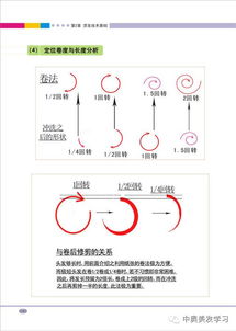 剪烫基础技术图解 