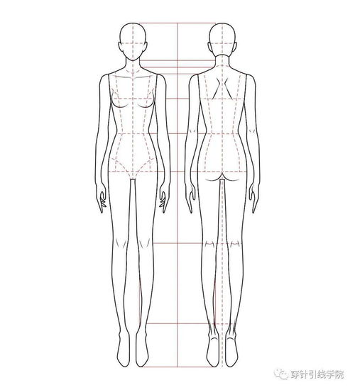 服装设计人形模板图片 搜狗图片搜索