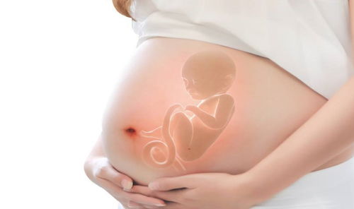 怀孕的胎梦有哪些