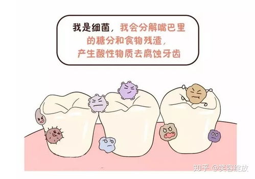 虫牙 真是牙齿被虫子吃了吗 