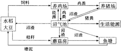 研究性学习怎么创立小组