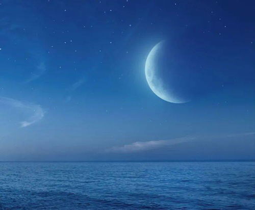 关于大海和月的诗句有哪些
