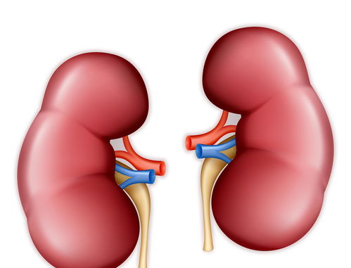 肾衰竭愈发年轻化 忠告 做好4点,肾脏会很感激你