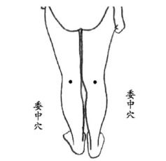 系列之十一 为何青壮年也常腰酸 腿软