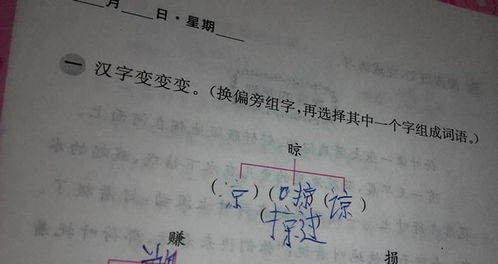 羊字造句幼儿园（羊组词有哪些呢？）