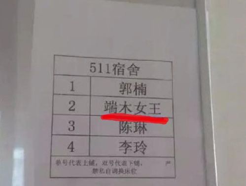 小学生 极简风 姓名火了,名和姓一共2笔,好听 好记还好写