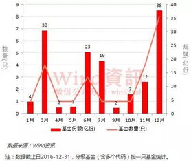 中国市场目前已发的QDII基金共有几只？