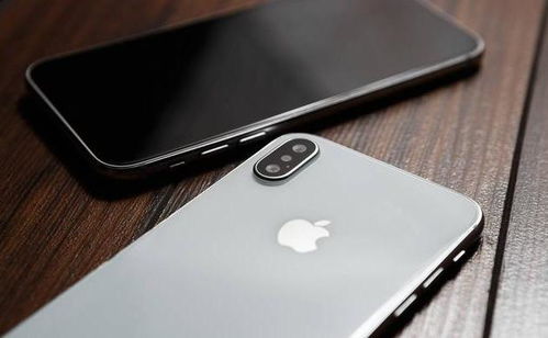 5000元入手iPhone XS Max 网友 哪买的带我一个