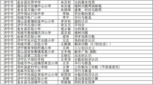 专家建议类信息格式 山东省一师一优课格式要求