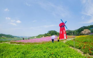 英山四季花海中华情园景区1日游 