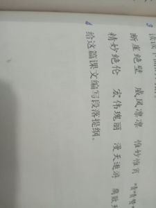 段落提纲是什么