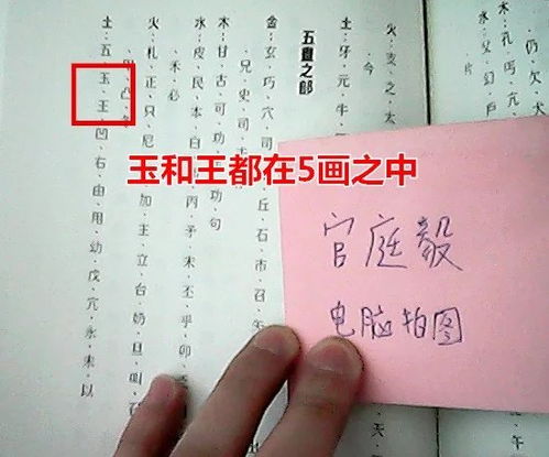 姓氏 王 用在姓名学笔画上按几画算