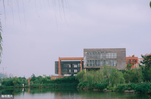 浙江学建筑哪个大学好