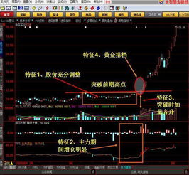 炒股票亏10万在股市里学习的人多还是花10万找人学习的人多？