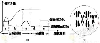 以下关于基因工程的说法.不正确的是A.目前关于基因工程的安全性存在很大的争议B.现阶段转基因技术不能定向改变生物遗传性状C.基因工程的运载体有质粒.噬菌体和动植物病毒等 