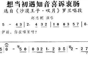 想当初遇知音喜诉衷肠 沙漠王子 叹月 唱段