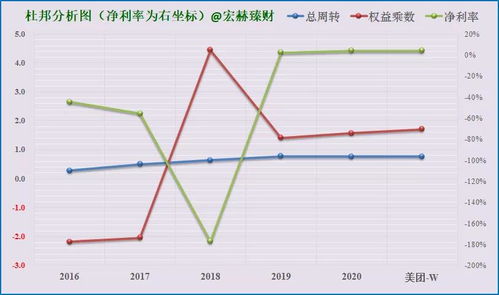 杜邦分析中股票r0e是什么