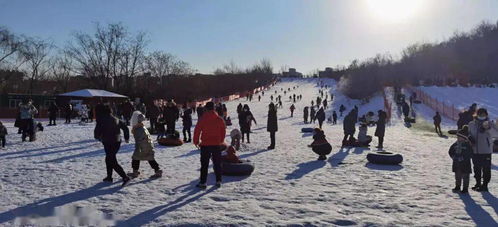 天津有这么多滑雪的地方,这个冬天真好玩