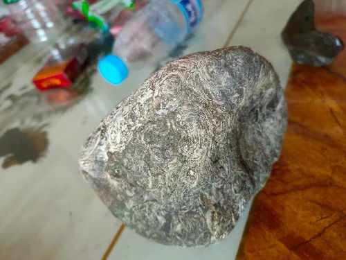 这个石头名字叫什么,我就得是贝壳跟石头融合在一起了 