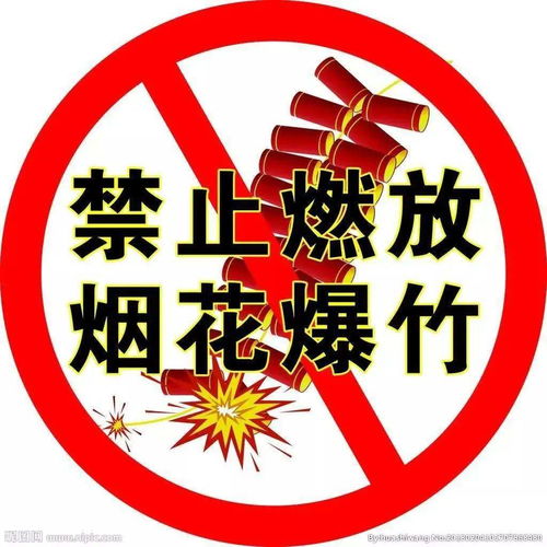 今年北京全域禁放烟花爆竹 这种也不行