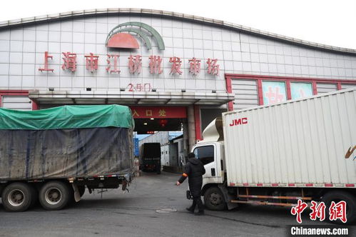 探访上海最大蔬菜批发市场 今天的货太多了