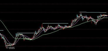 09-10年橡胶行情分析