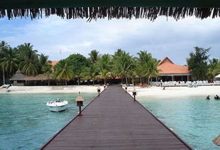 马尔代夫有多少岛一个海洋国家的美丽之旅（马尔代夫共有多少个岛）