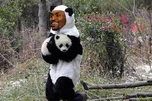 慈世平化身搞笑熊猫人 