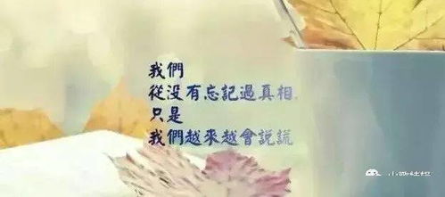 精彩音乐汇 心情烦躁的时候,听一首佛歌 莲花处处开 洗涤心灵