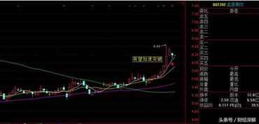 北京利尔 主力再砸20亿封涨停,后市有望暴涨 