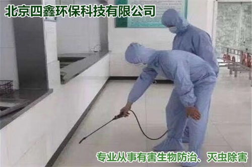 北京专业家庭灭鼠公司 收费标准