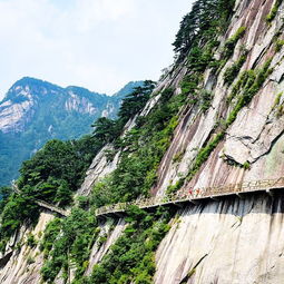 天堂寨风景区停车场收费标准最新,天堂寨风景区停车场有充电桩吗?