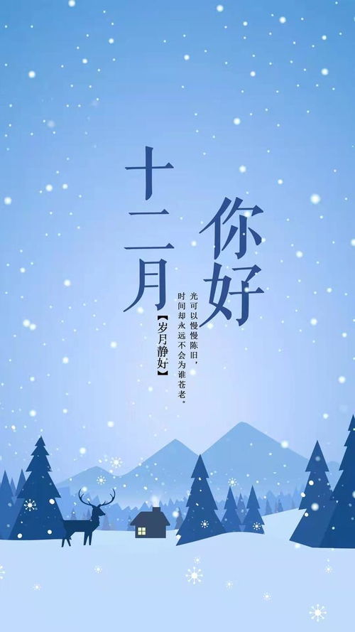 12月你好,不乱于心,不困于情