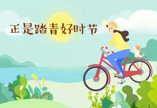 国外的景点常有人坠崖丧命,为何不安装防护栏