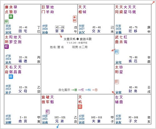 紫微斗数 看财富最重要的宫位 张念 宫在 