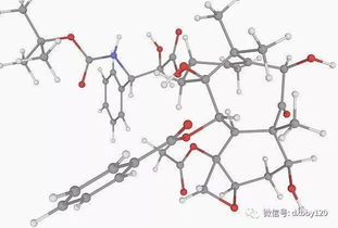 慢粒白血病能活多久 我不是药神慢粒白血病急变期症状