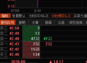 请问东方财富L2的委托队列中带下划线的数字是什么意思？