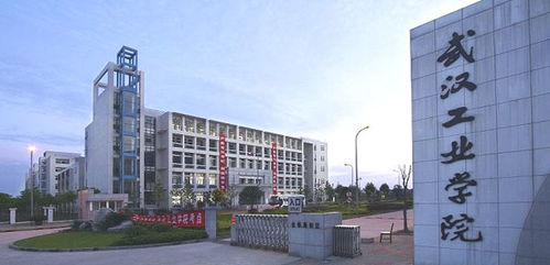 武汉轻工业大学(武汉轻工大学在哪个位置)