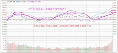 股票中的有色那些涨的好