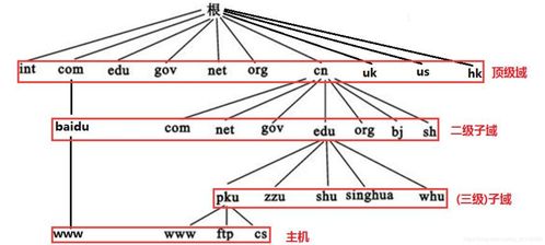 全球十三个根DNS服务器(日本线dns服务器地址)