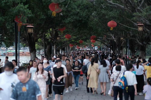 惠州西湖节假日真不要去,我替你们去过了 