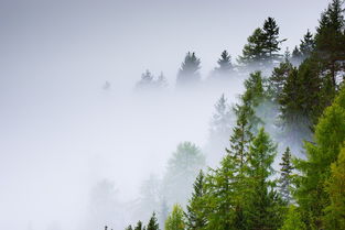 雨窗，时光静好的诗意栖息地，雨窗的意思是什么解释