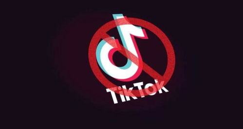 菲律宾的海外抖音TikTok如何运营_TikTok开户(免白名单)