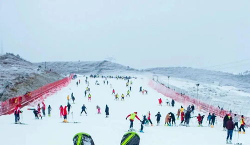 家门口的雪中秘境,去花溪来场冬日里的 疯滑雪跃