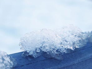 如何让雪快速融化 