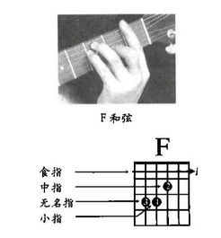 吉他和弦图怎么看啊？指点和弦分解图！！