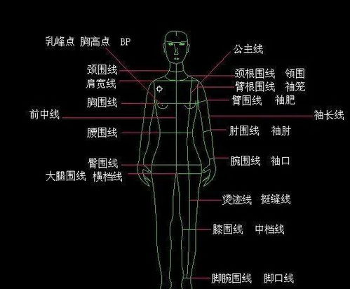 衣服的帽子怎么弄好看，衣服上的帽子怎么裁剪(上衣服帽子视频)