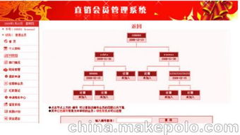 深圳广东双轨制层碰 点碰直销软件